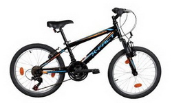 Castiga o bicicleta pentru copii X-Fact Rookie 20"