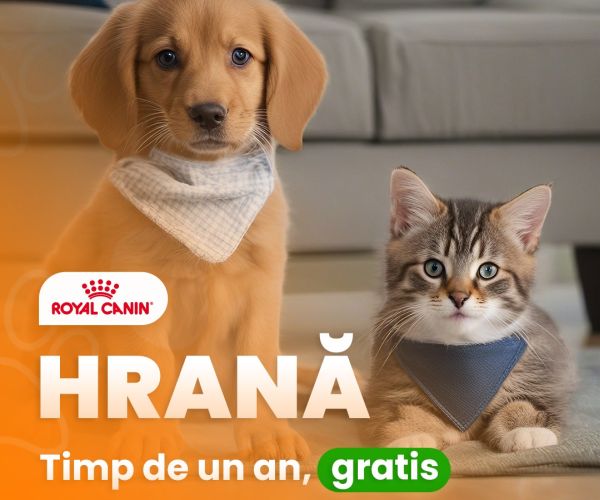 Câștigă hrană Royal Canin pentru un an