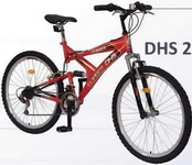 Castiga bicicleta DHS